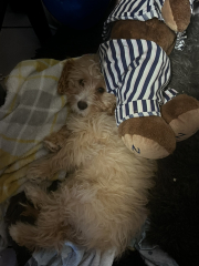 Jan 2023 Low Carb Bootcamp - Week 1!