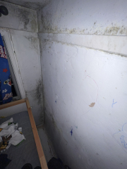 At my wits end with mould !!