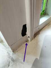 leak in conservatory