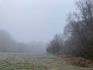 Thread 4 - TalkExiles: "The Planet Goes On Being Round"