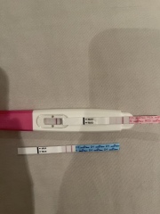 Help 🤣 TTC easy at home tests