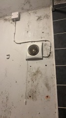 At my wits end with mould !!
