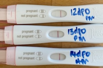 BFP getting fainter - 🌈 pregnancy