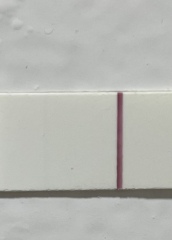 10 dpo.. faint positive or evap??