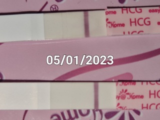 Indent / Evap / BFP / CM ? Please help xx