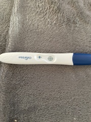 Clear blue evap line or positive result 