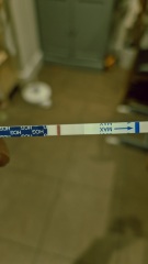 Very faint line 14 dpo