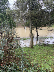 Winter Weather Outlook. Part 2: Into January '23