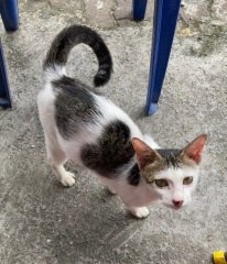 Thread 4 - TalkExiles: "The Planet Goes On Being Round"