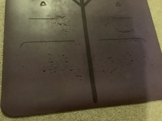 CENTER YWA January 2023: It's here! Support thread for all 