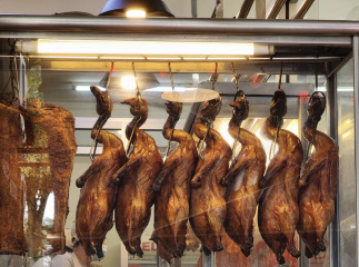 Thread 4 - TalkExiles: "The Planet Goes On Being Round"