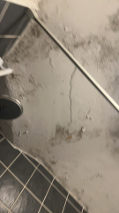 At my wits end with mould !!
