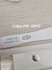 6DPO buddies please ?
