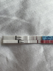 Pregnancy test - have I got line eyes?