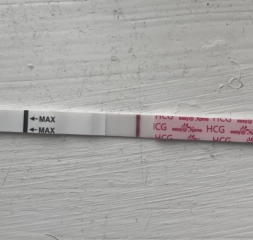 Line eyes? 12DPO