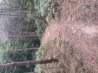 Places to live for off road running/biking