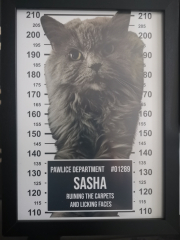 Show off your rescues!