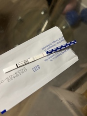 This has to be a new pregnancy, right?