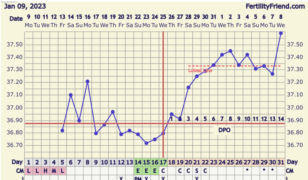 Fitness tracker stats pregnancy 