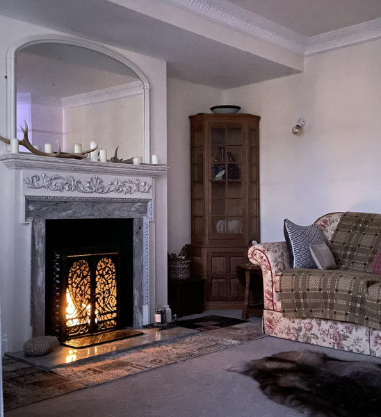 Bio ethanol fire recommendations/experience