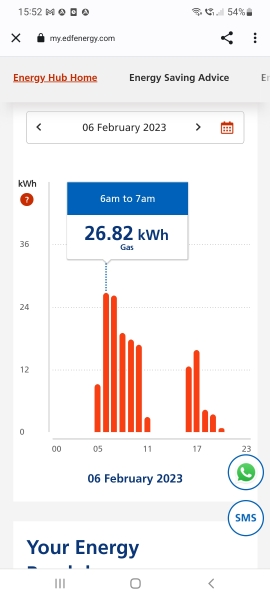 How much gas and electricity are we all using? (ours attached)