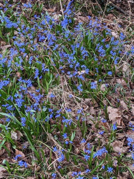 Best foot forward for 2023: a thread for walkers