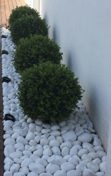 FIL has messed up my front garden … AIBU?