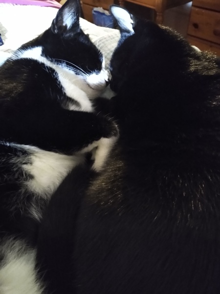 Thread 5 - TalkExiles: "The Planet Goes On Being Round"