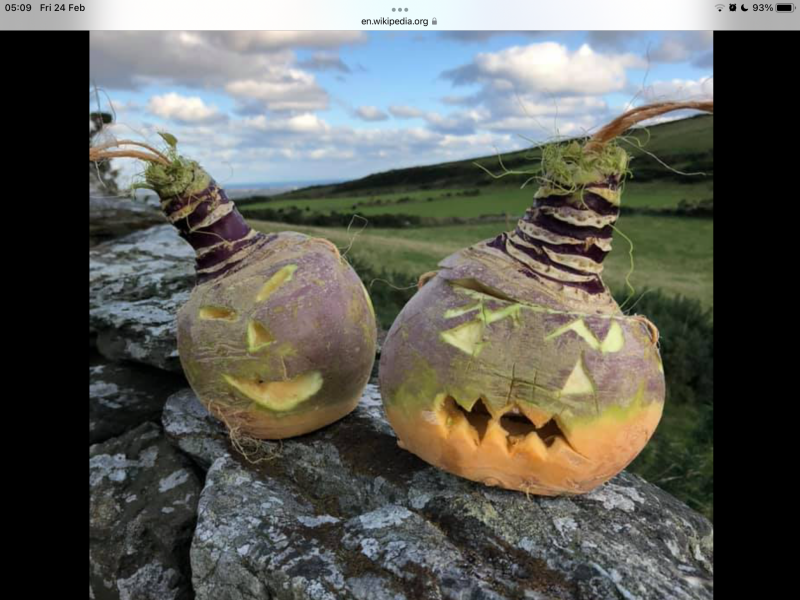 Turnips