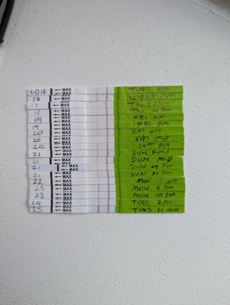 Positive OPK, or not quite? 