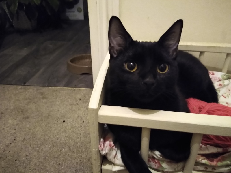 Thread 5 - TalkExiles: "The Planet Goes On Being Round"