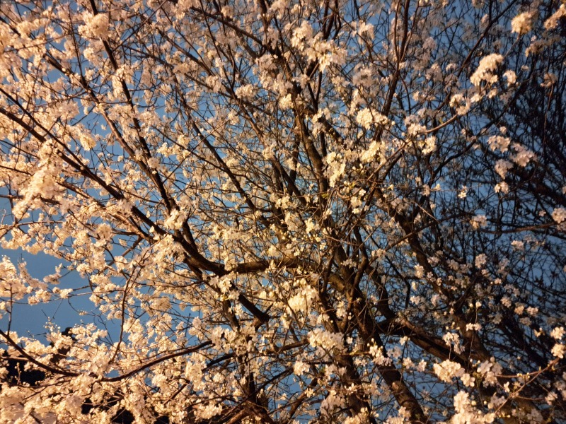 What's the nicest thing you can see from your house?