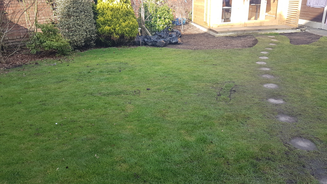 Extended my border - what to fill it with? See picture