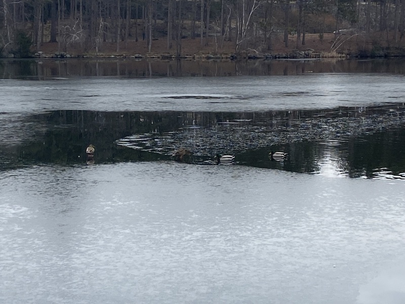 Come and tell me your dull and unexciting news 24: Calmly through the day 