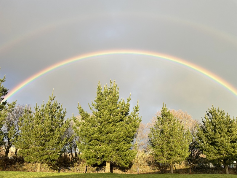 Any Witches Here?- Part 18