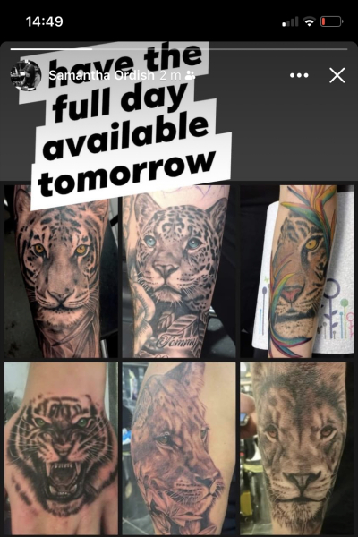 Realistic animal artist: London/south East?