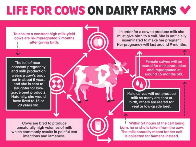 Any dairy farmers please? 