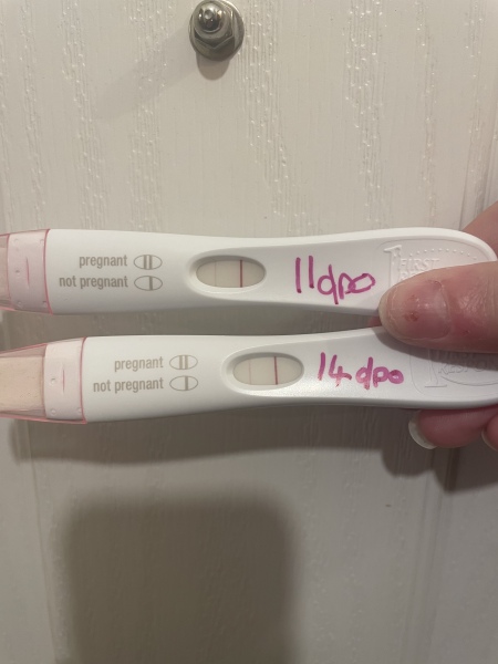Due October 2023 -Thread 2