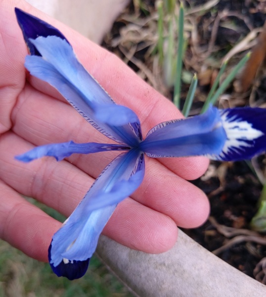 Any Witches Here?- Part 18