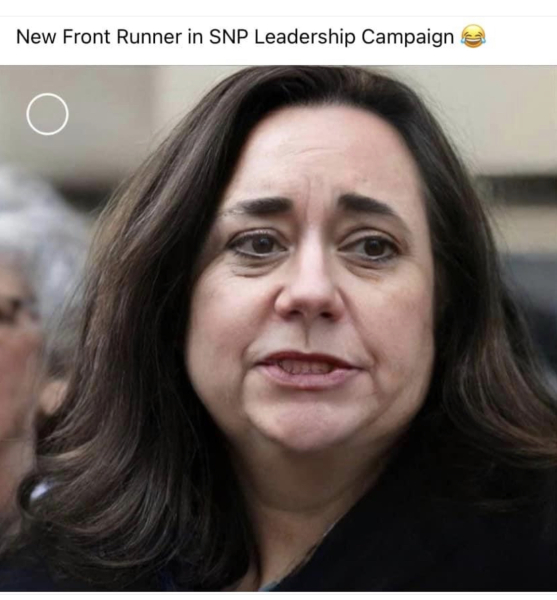 STURGEON IS QUITTING