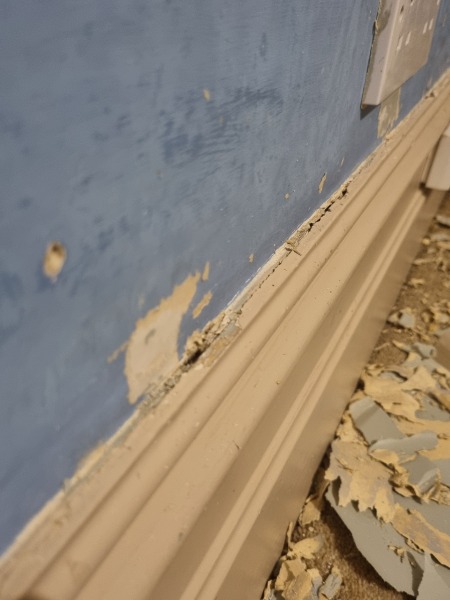 Skirting board advice
