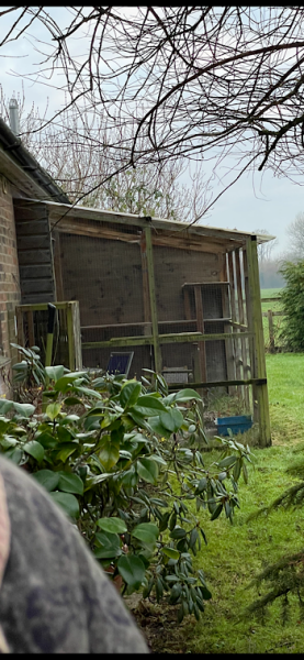 DIY Catio
