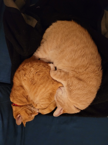 Thread 5 - TalkExiles: "The Planet Goes On Being Round"