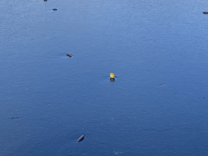 Come and tell me your dull and unexciting news 24: Calmly through the day 