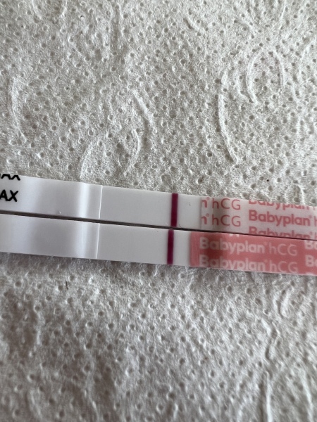 Bbt lower but no period