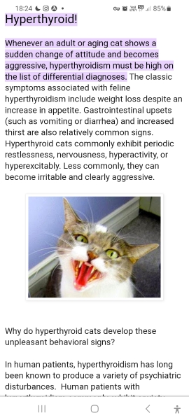 Hyperthyroidism in Old Cat Biting Face Whilst Sleeping