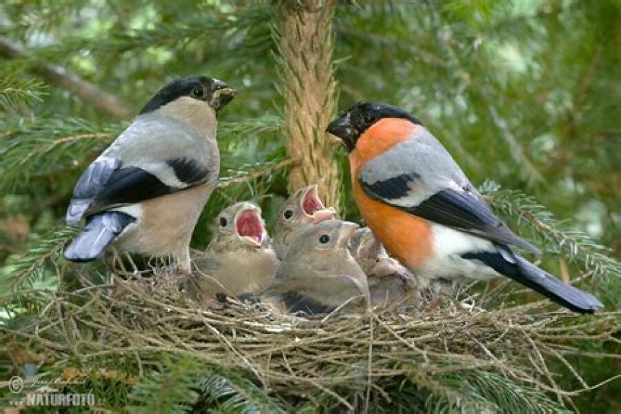 Thread 5 - TalkExiles: "The Planet Goes On Being Round"