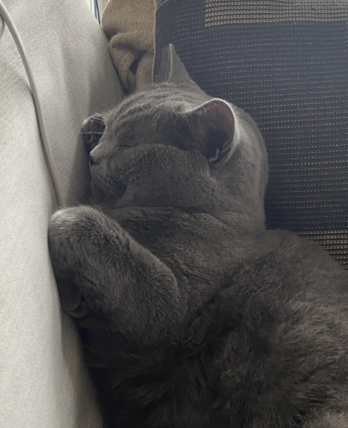 Thread 5 - TalkExiles: "The Planet Goes On Being Round"