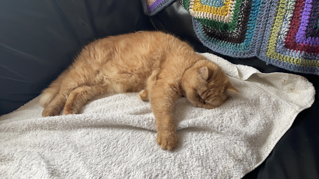 Sicky Cheddar.