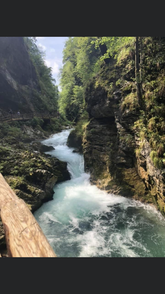 Anyone been to Slovenia?
